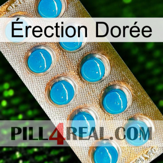 Érection Dorée new09